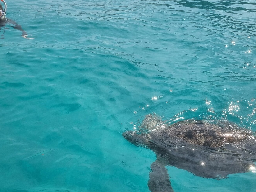 Perhentian Islands-Perhentian Islands必去景点