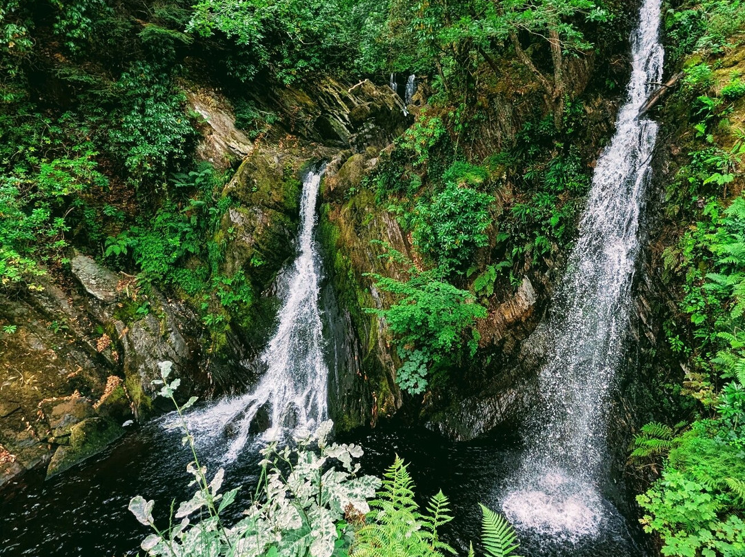 Devil's Bridge Waterfalls-Devil's Bridge (Pontarfynach)必去景点