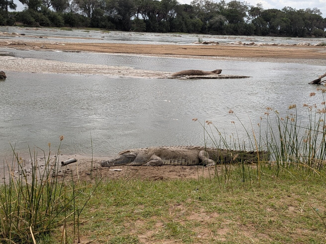Safari In Kenya Con Samba-瓦塔木必去景点