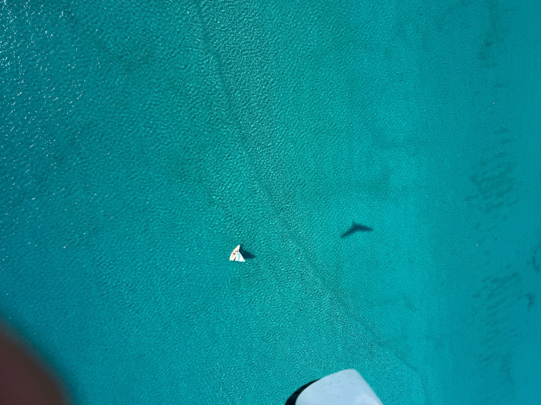 SEAFLY Noleggio Gommoni & Barche Escursioni Flyboard Sport Acquatici Volo in Deltaplano-Badolato Marina必去景点