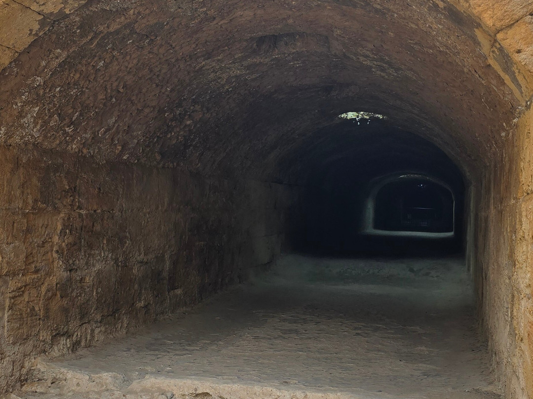 Caravane Du Sahara