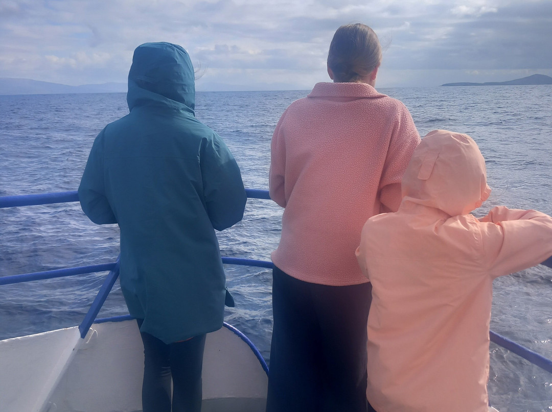 Inishturk Island-Inishturk必去景点