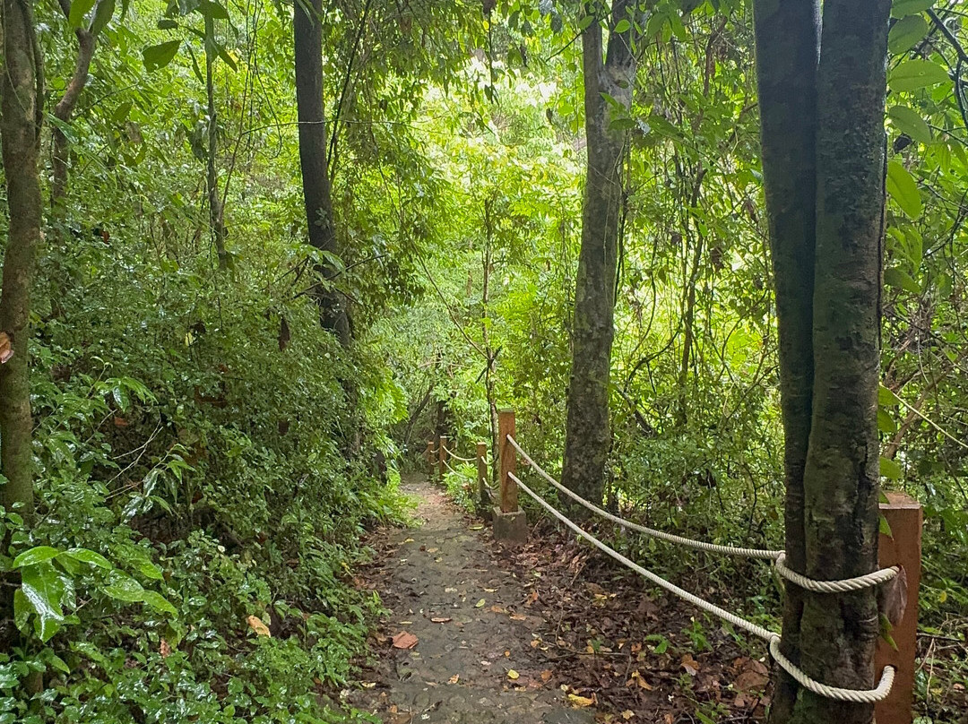 Khao Lak-Lam Ru National Park-Khuekkhak必去景点
