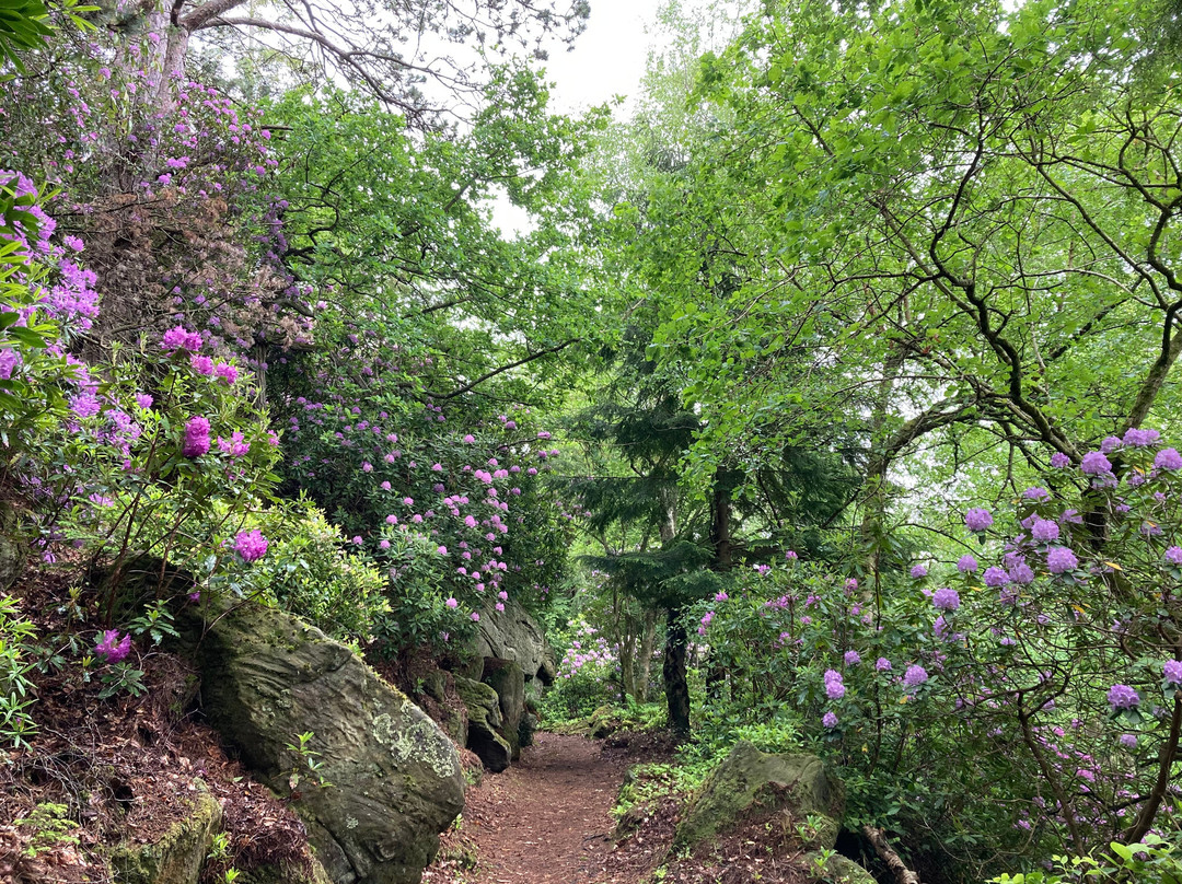 Cragside House and Gardens-Rothbury必去景点