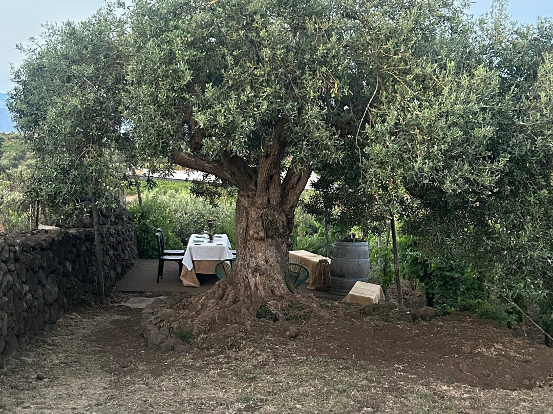 Verderame Boutique Winery-Castiglione di Sicilia必去景点