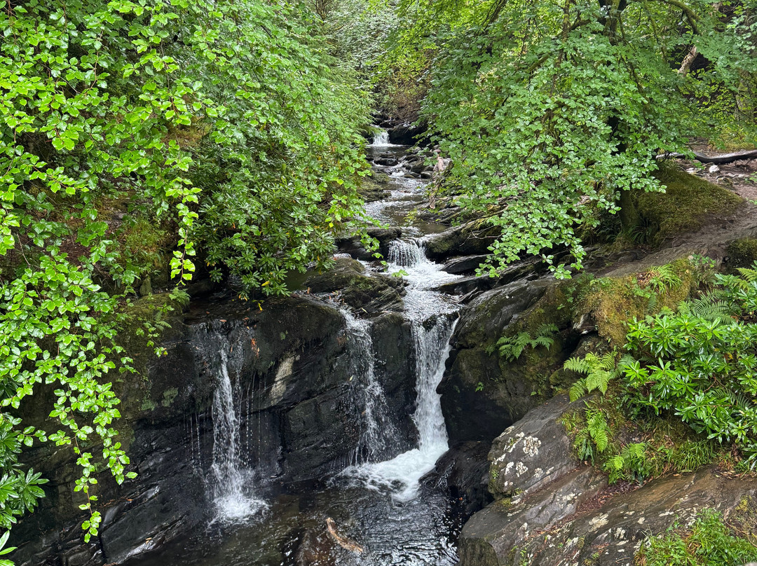 Torc Waterfall-基拉尼必去景点