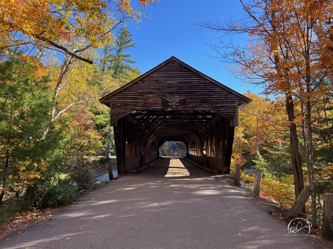 Albany Covered Bridge-Albany必去景点