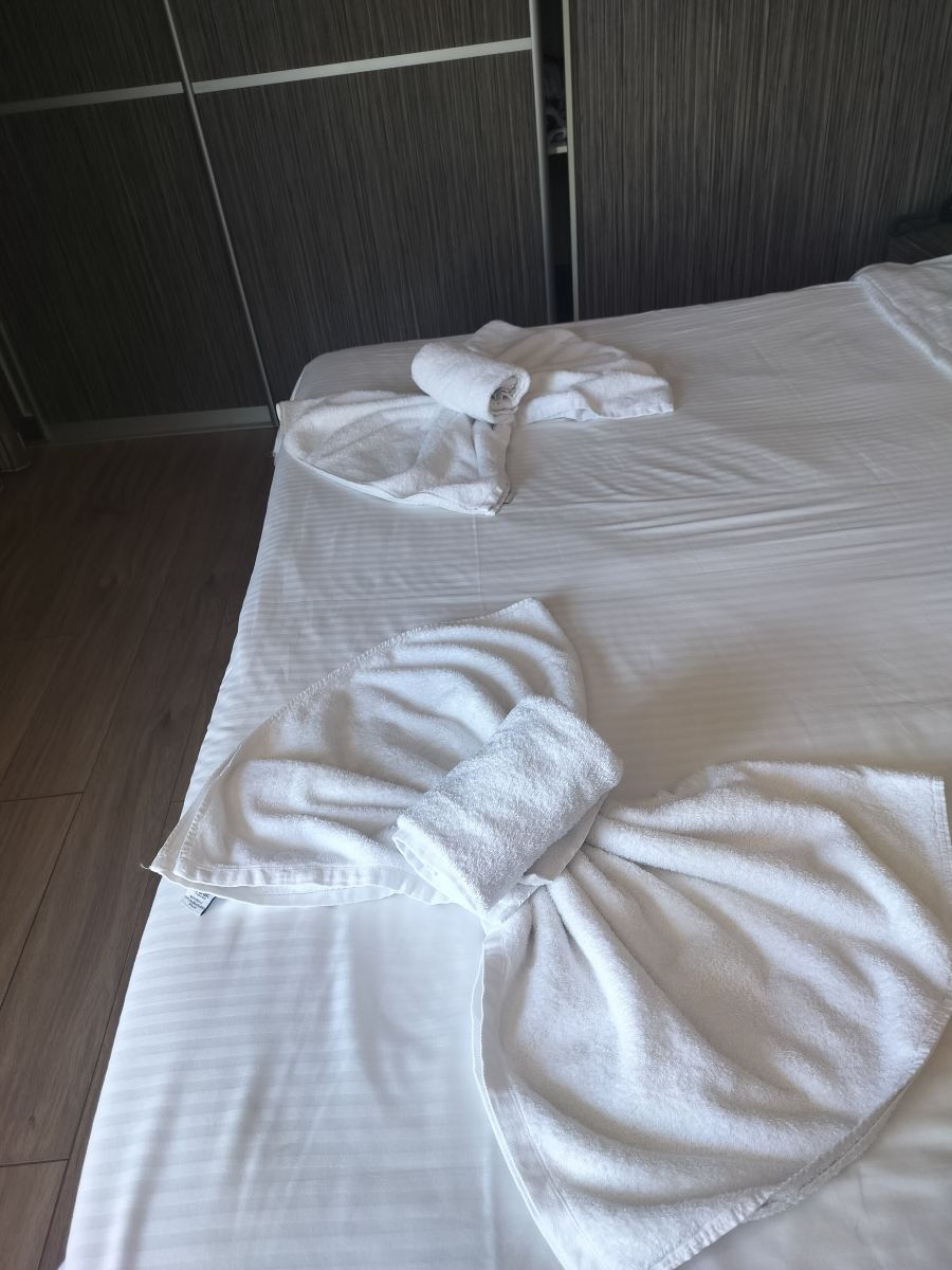欧洲酒店Katrin套房 - 限成人-旅行者