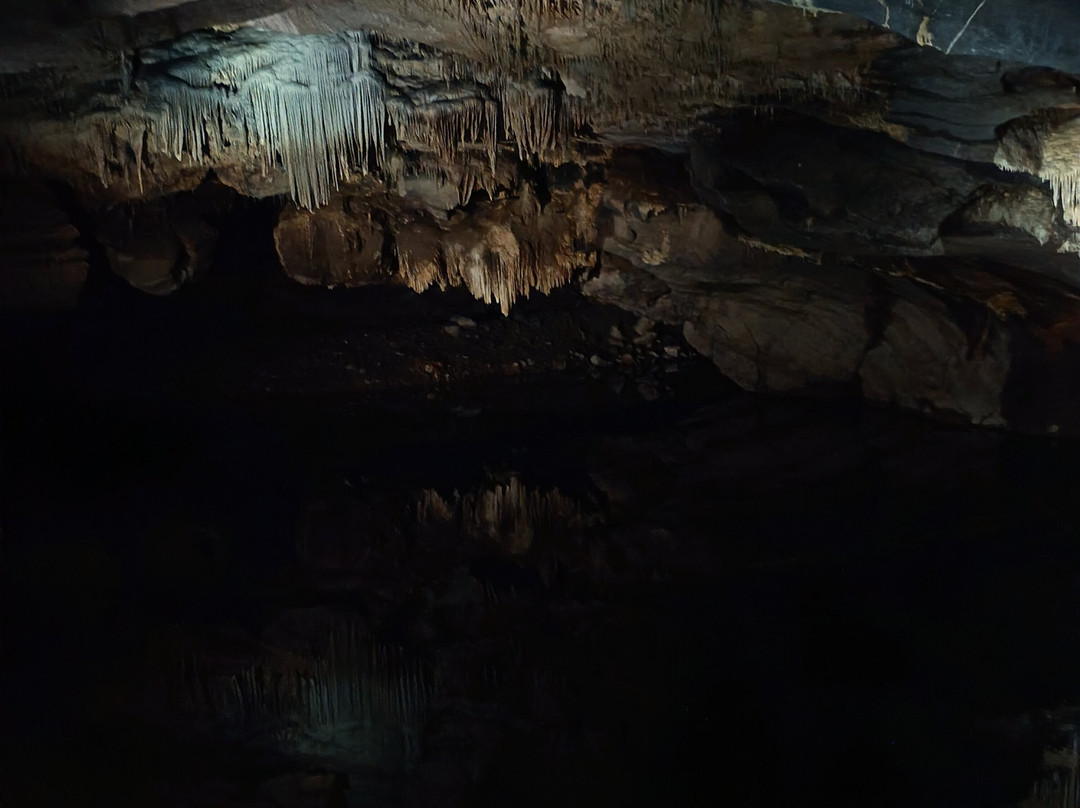 Domaine Des Grottes De Han-Han-sur-Lesse必去景点