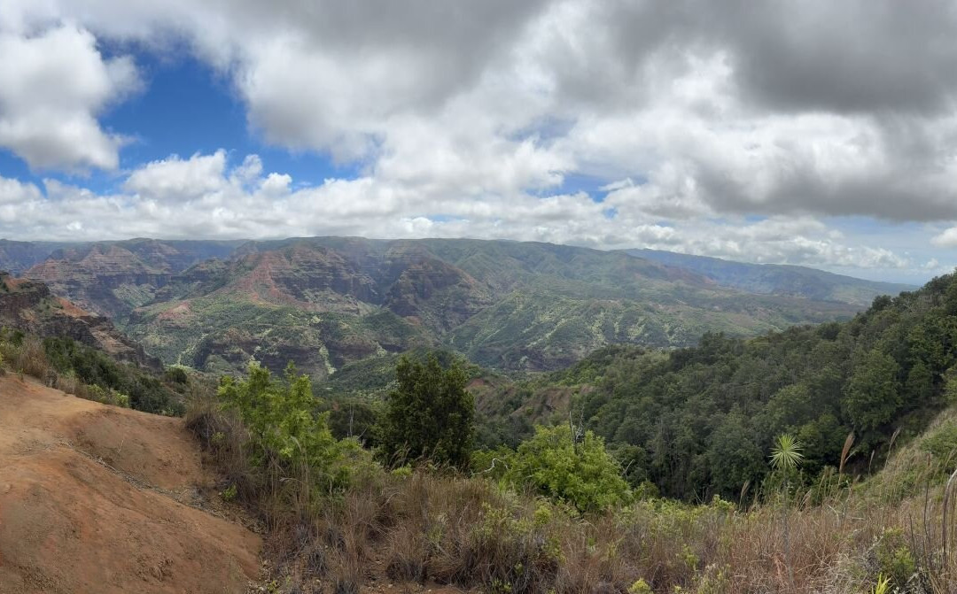 Iliau Nature Loop Trail-威美亚必去景点