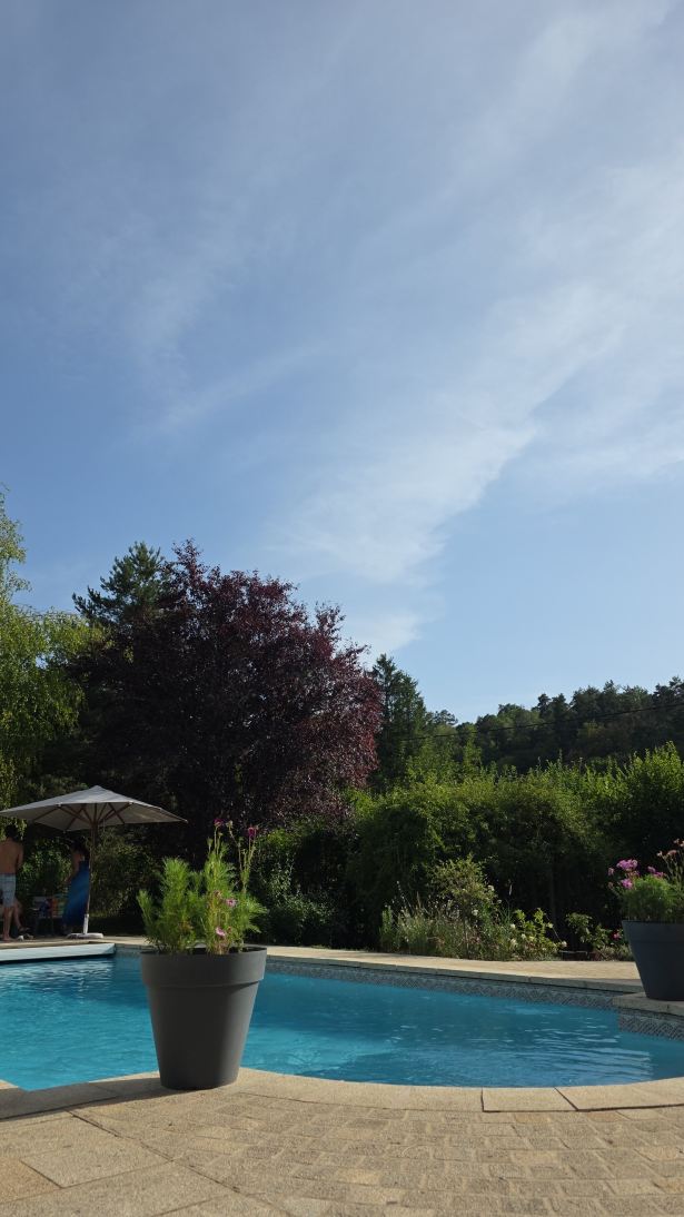 Hotel Au Petit Vatel-旅行者