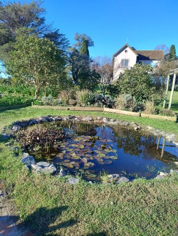 Comarca Las Liebres(Comarca Las Liebres酒店)-旅行者