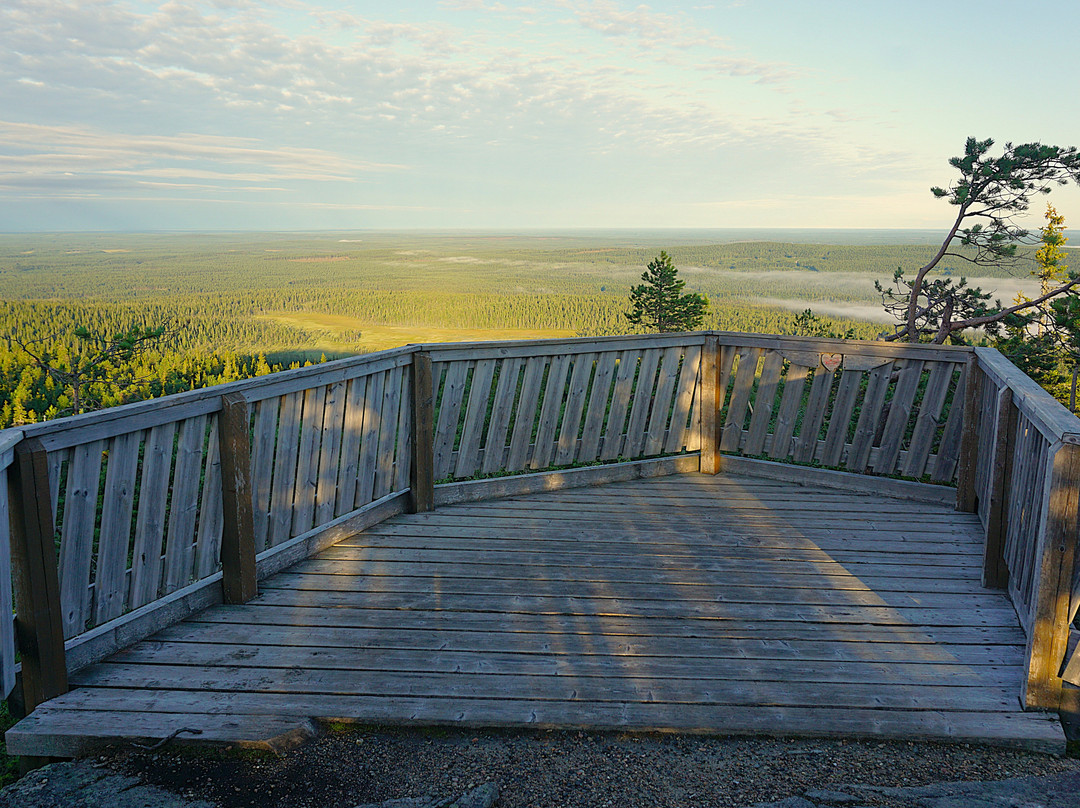 Huippupolku