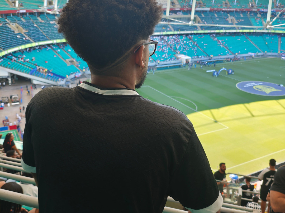 Itaipava Arena Fonte Nova-萨尔瓦多必去景点