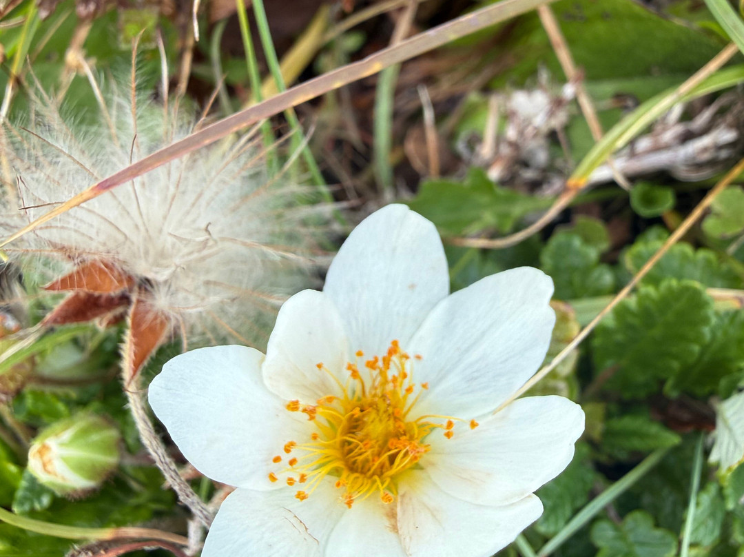 Heart of Burren Walks-Carran必去景点