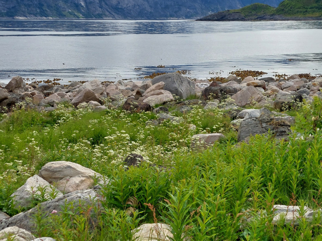 Scenic Route Senja-Senja必去景点