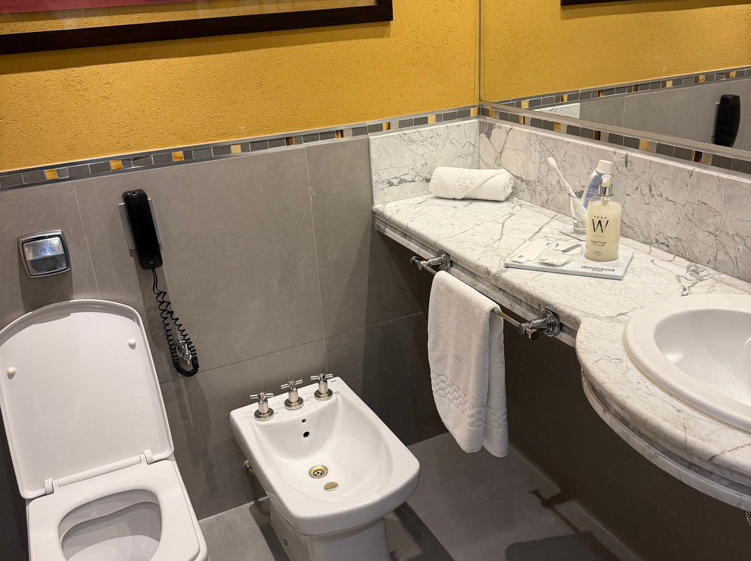 温莎酒店及大厦主图
