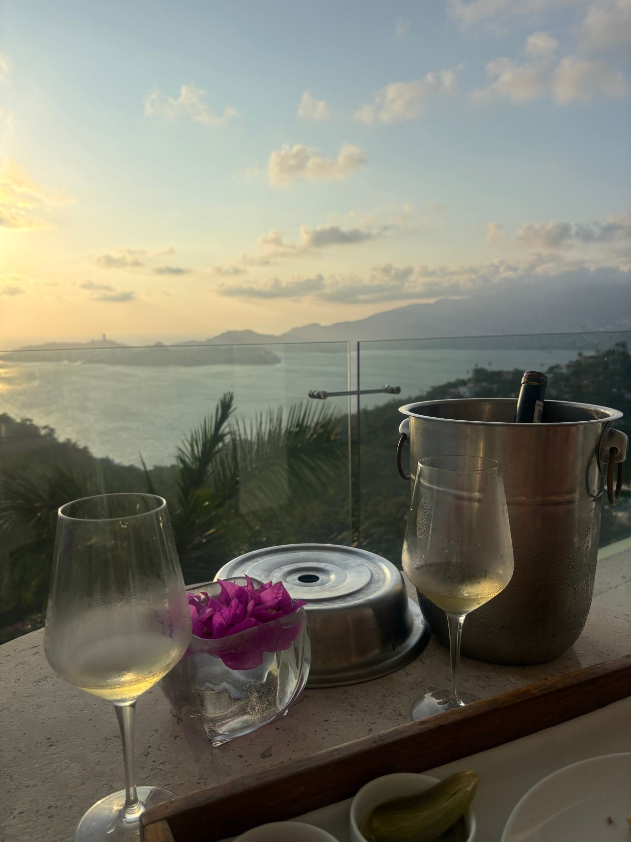 阿卡普尔科恩坎托酒店-旅行者