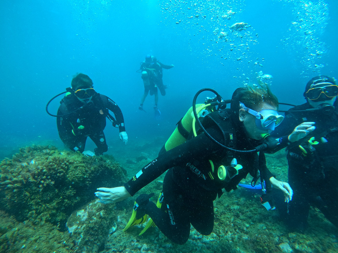 Pura Vida Diving-布兰卡滩必去景点