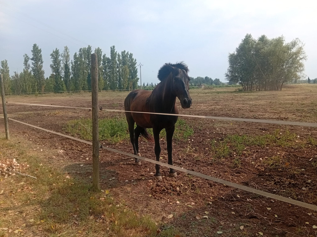 Ranch pégase