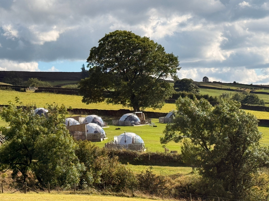Deerstone Glamping