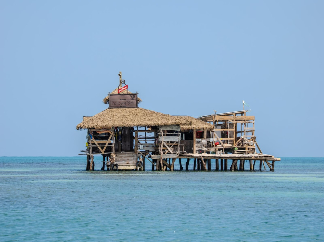 Lashings Art Hotel & Beach Club主图