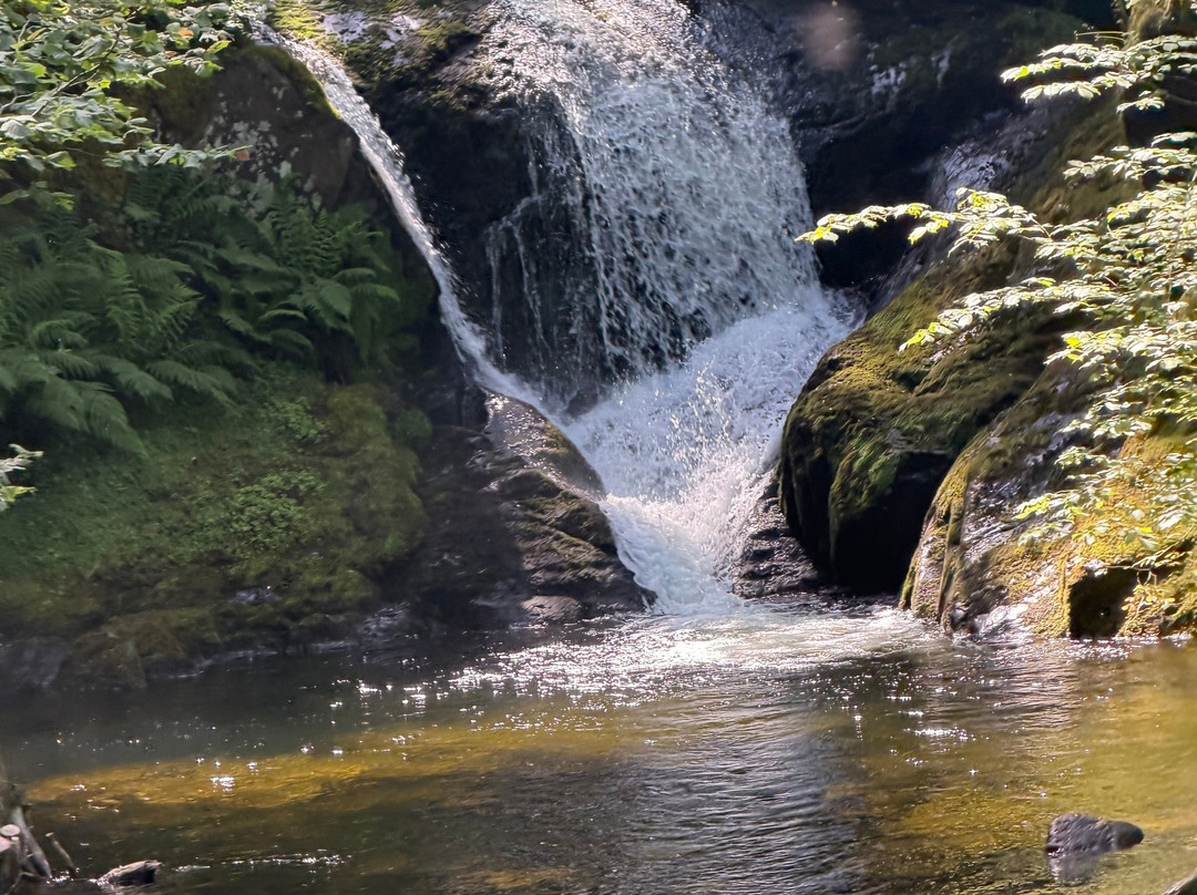 Dolgoch Falls-雪墩国家公园必去景点