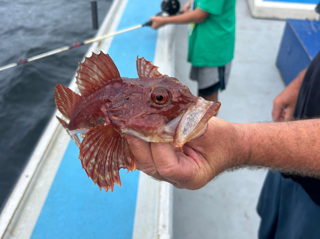 Campbell's Deep Sea Fishing-York必去景点
