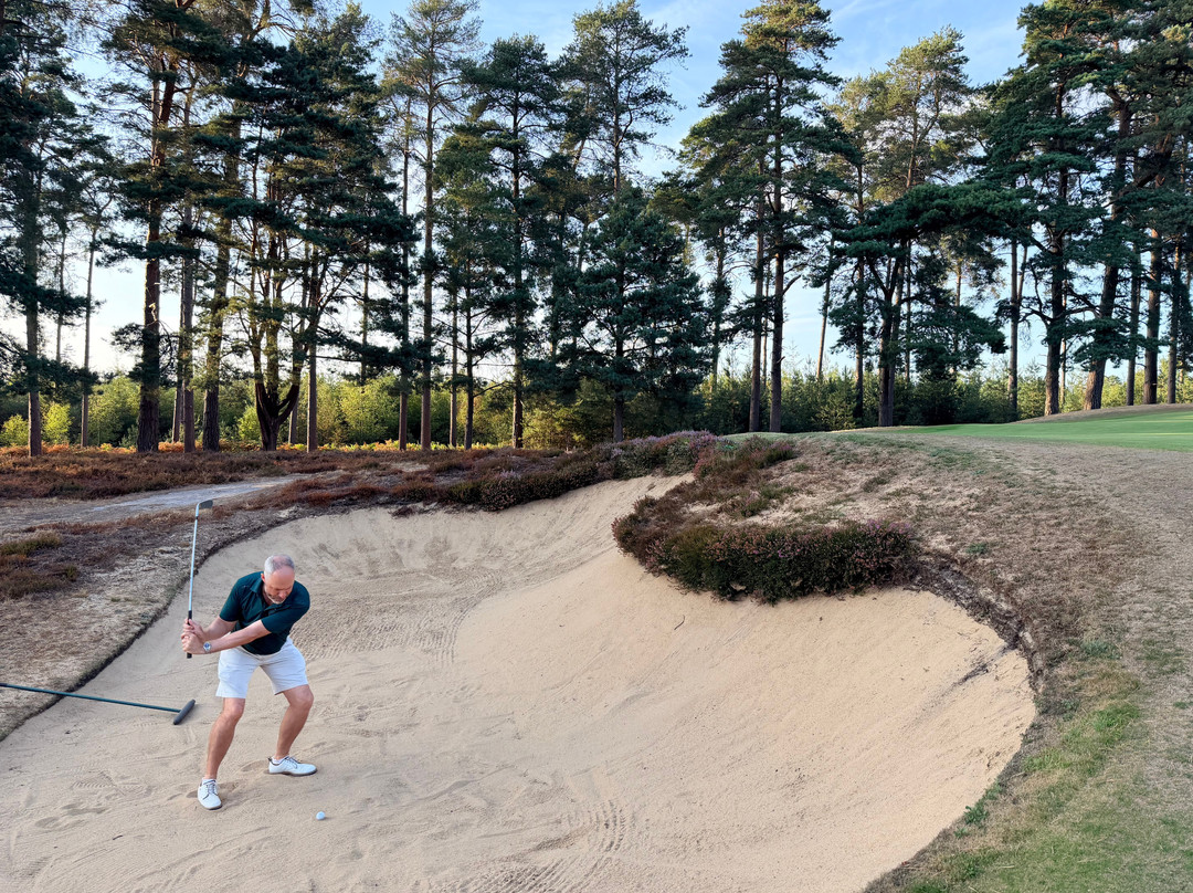 Swinley Forest Golf Club-Ascot必去景点