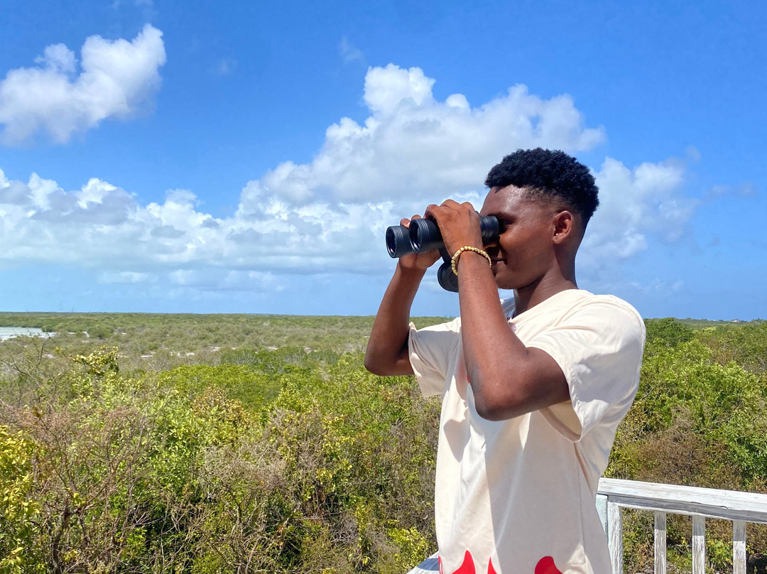 Caicos Dream Tours-普罗维登西亚莱斯必去景点