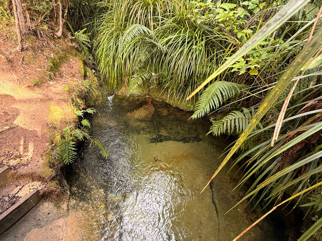 Abel Tasman Guides-玛拉豪必去景点
