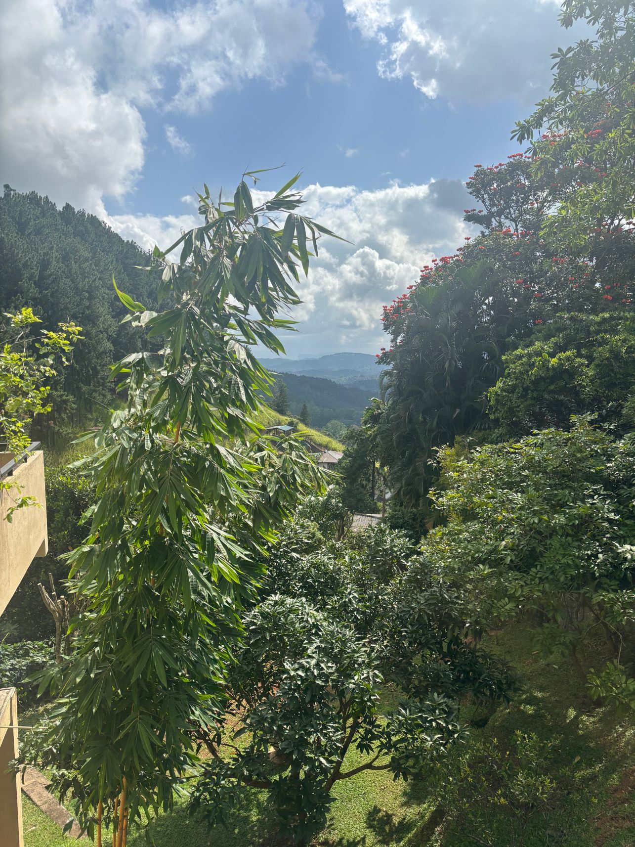 梅尔海姆康提别墅酒店-旅行者