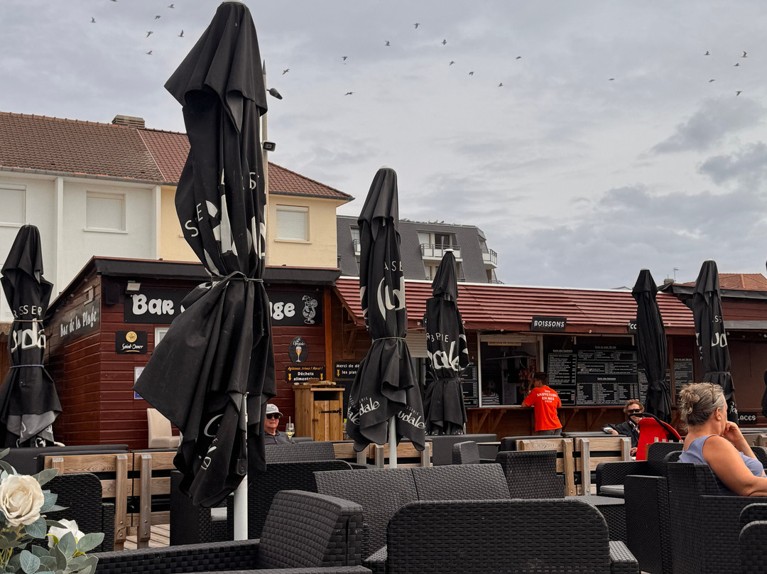 Bar de la plage