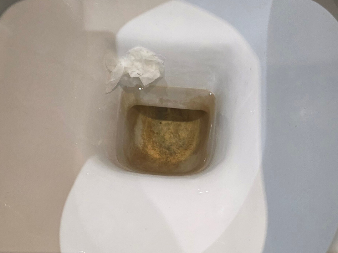 达西亚假日俱乐部主图