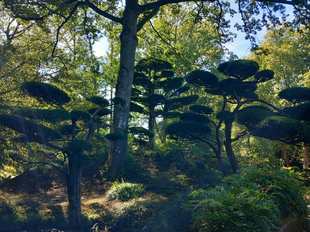 Parc Oriental de Maulevrier-Maulevrier必去景点