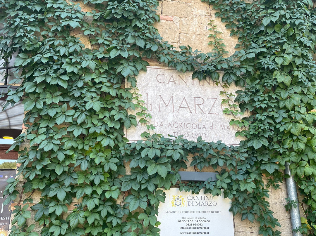 Cantine di Marzo-Tufo必去景点