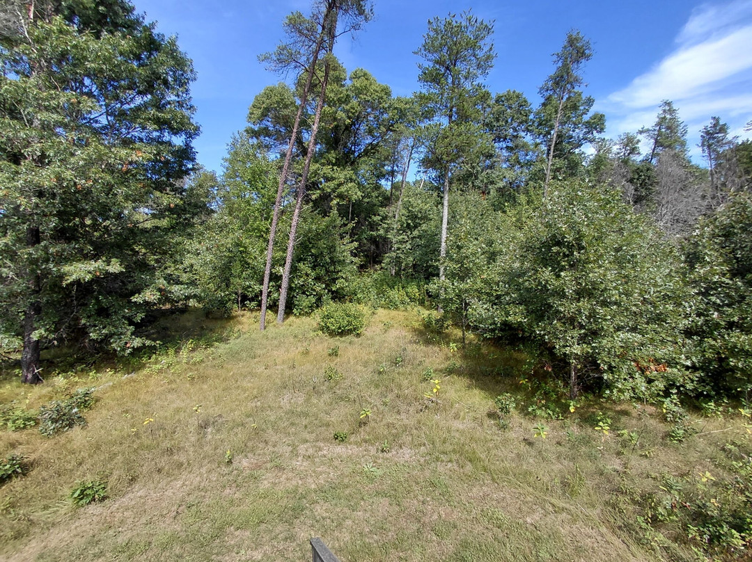 Buckhorn State Park-Necedah必去景点