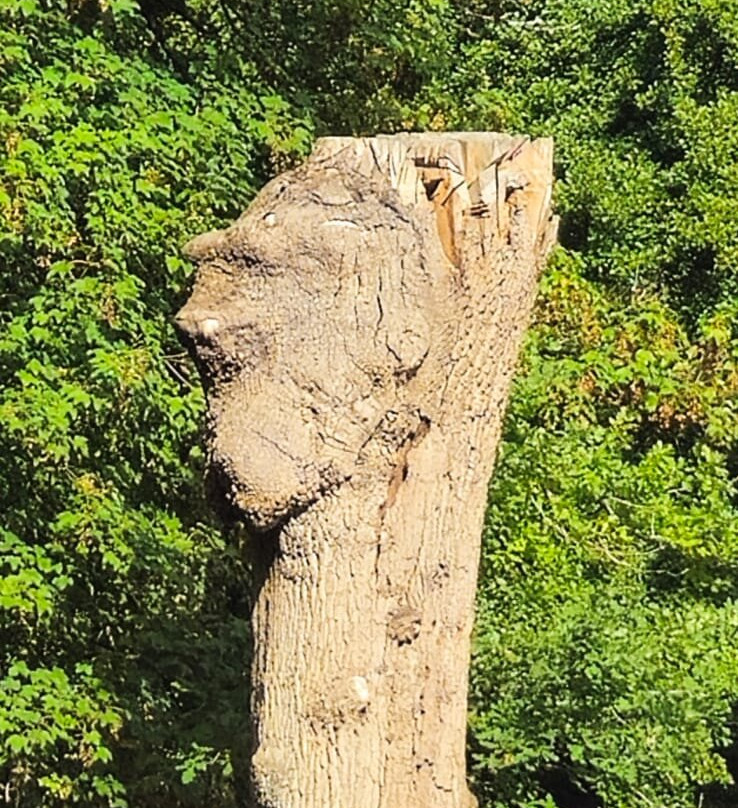 Stowe Gardens-Buckingham必去景点