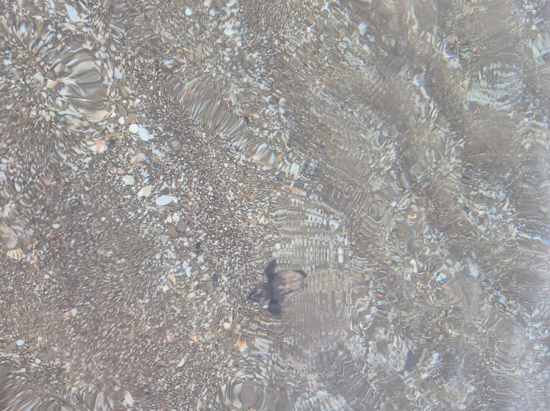 海神海滩酒店主图