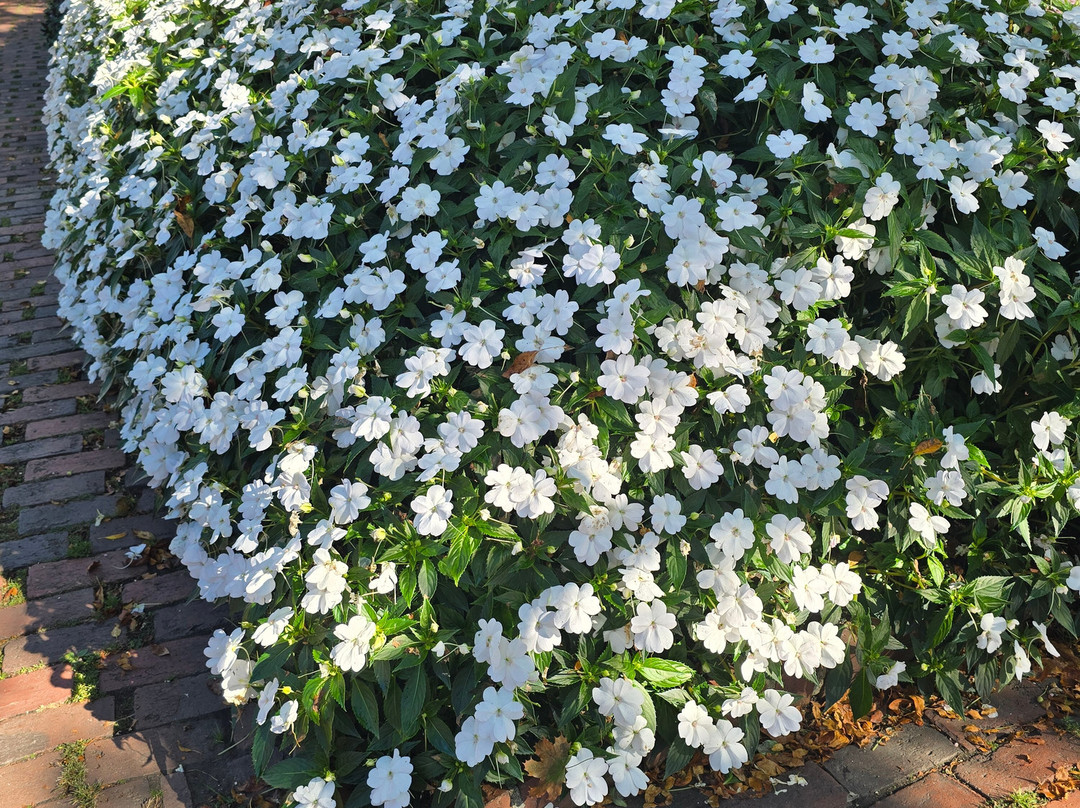 Prescott Park-朴次茅斯必去景点