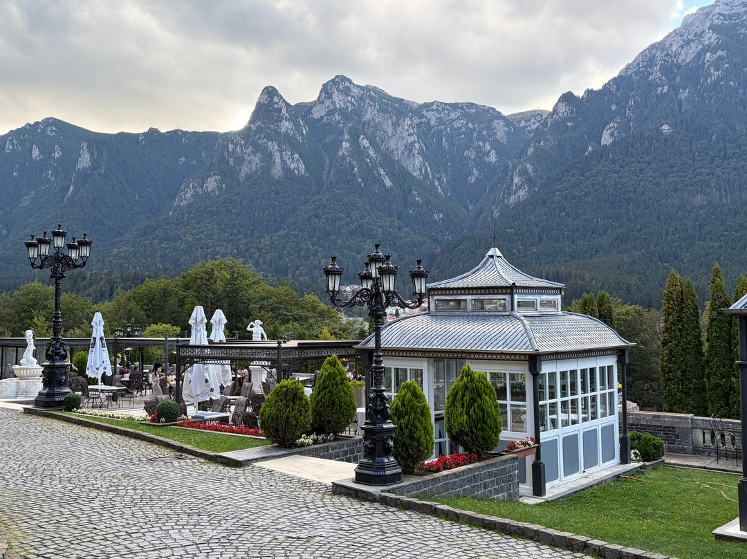 Experience Transylvania-塞比什必去景点