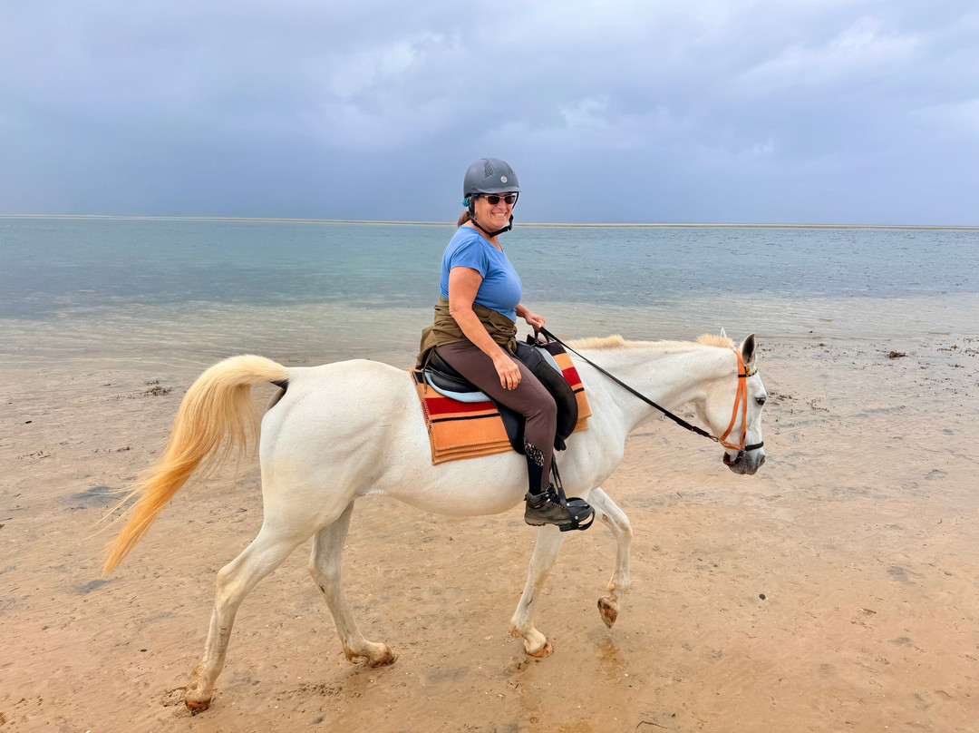 Mozambique Horse Safari-Vilanculos必去景点
