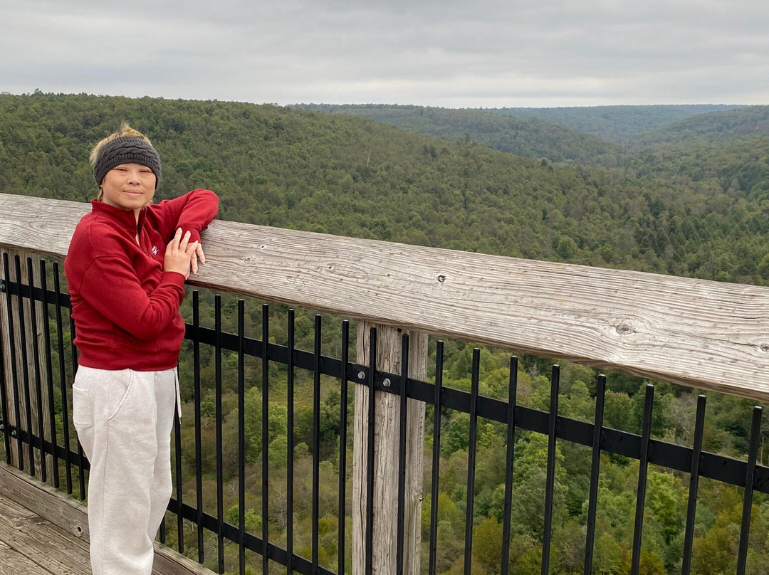 Kinzua Bridge State Park-Mount Jewett必去景点