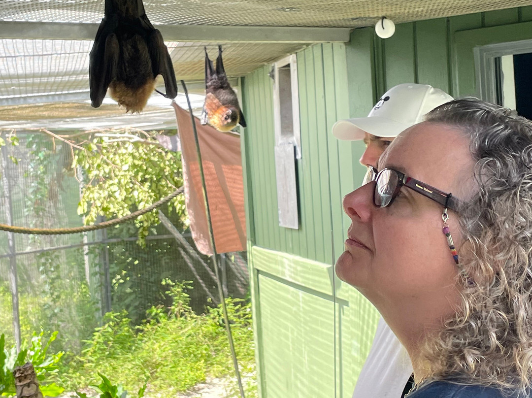 Lubee Bat Conservancy-盖恩斯维尔必去景点