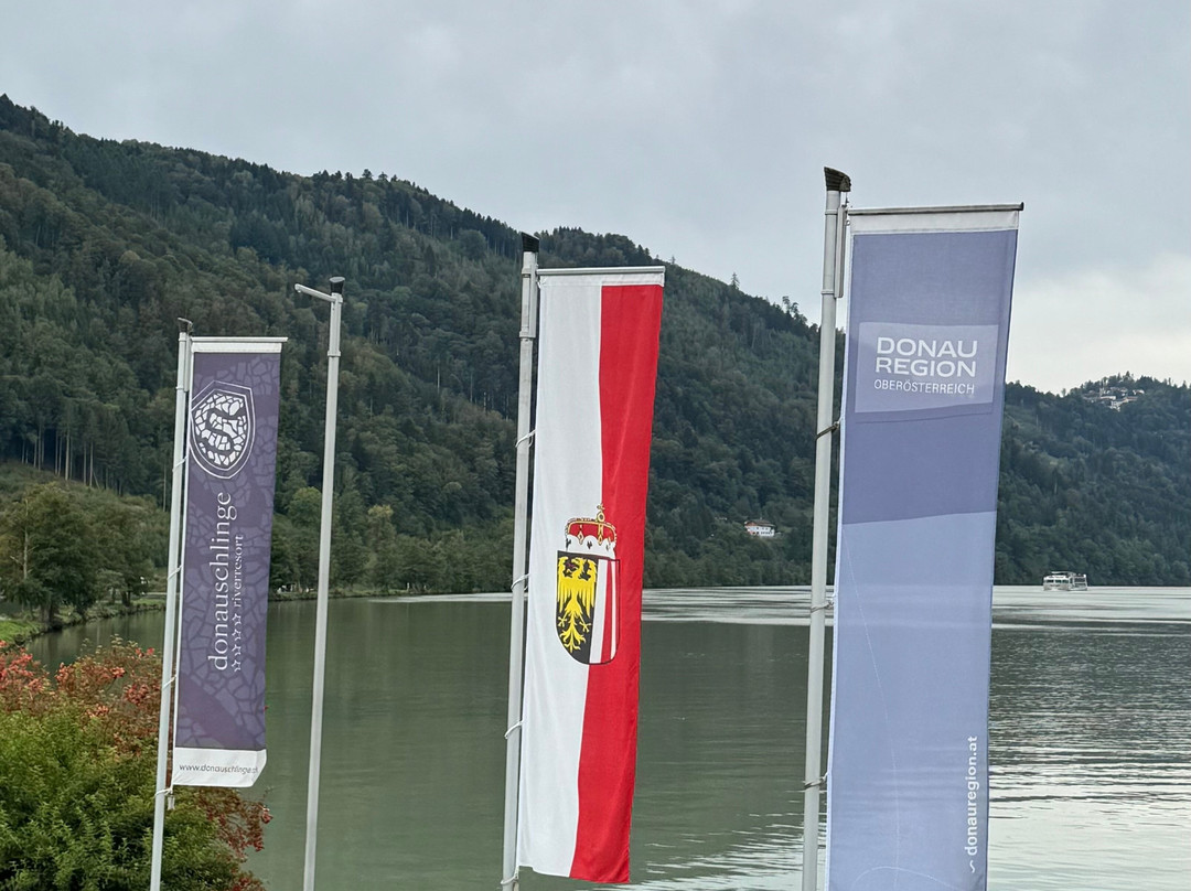 Riverresort Donauschlinge主图