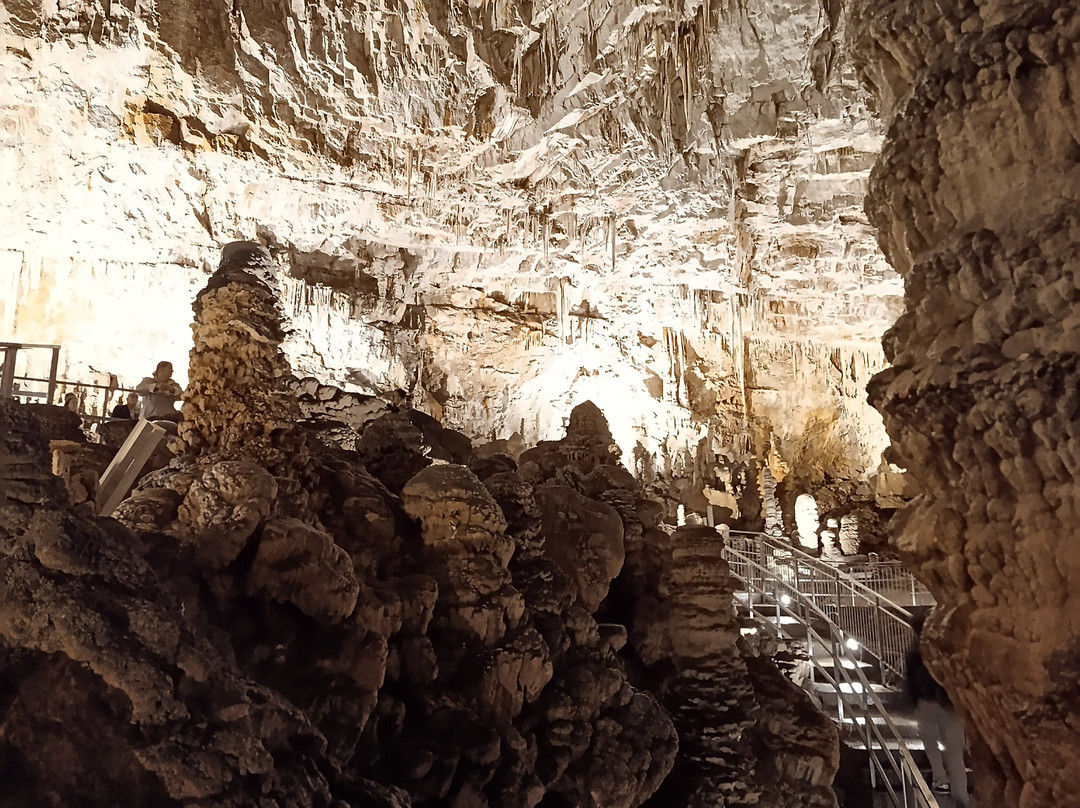 Grotta Gigante-Borgo Grotta Gigante必去景点