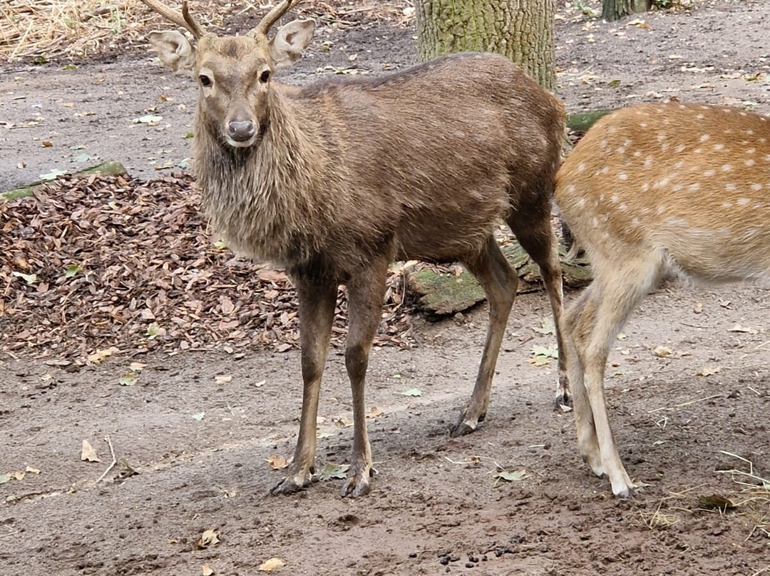 Heimattiergarten Schönebeck "Bierer Berg"-Schönebeck必去景点