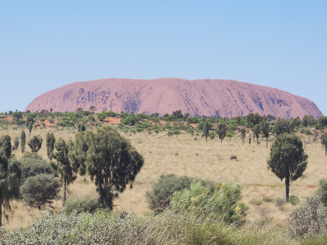 Uluru Camel Tours-尤拉拉必去景点