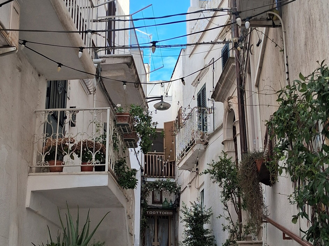 Centro Storico-奥斯图尼必去景点