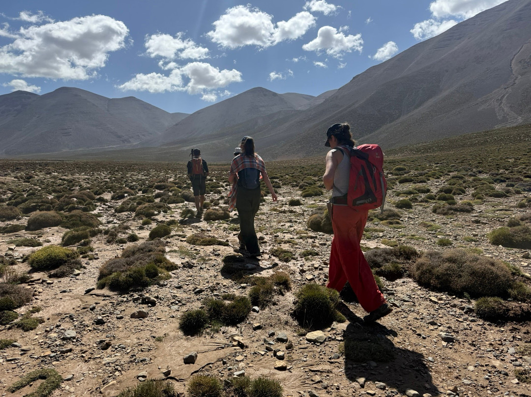 托达生态小屋旅馆主图